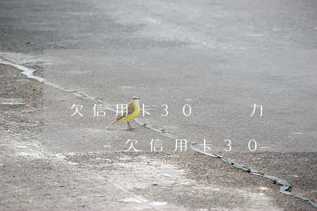 欠信用卡30萬無力償還能協(xié)商嗎-欠信用卡30萬無力償還怎么辦