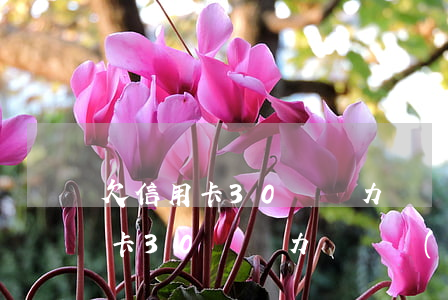 欠信用卡30萬無力償還能自首嗎-欠信用卡30萬無力償還會(huì)坐牢嗎