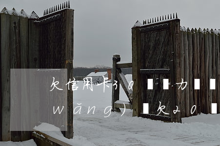 欠信用卡30萬無力償還要坐幾年牢-網(wǎng)貸欠20萬自救方法