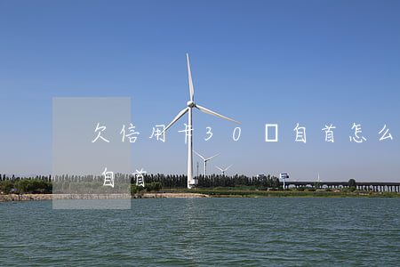 欠信用卡30萬自首怎么辦(欠信用卡38萬自首)
