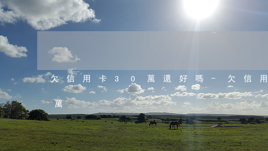 欠信用卡30萬還好嗎-欠信用卡總共30萬