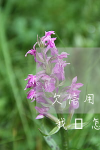 欠信用卡30萬還有嗎-欠款信用卡30萬我該怎么辦