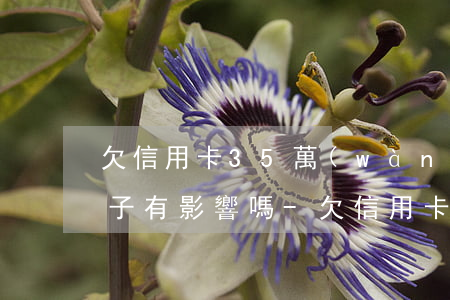 欠信用卡35萬(wàn)對(duì)孩子有影響嗎-欠信用卡35萬(wàn)對(duì)孩子有影響嗎知乎