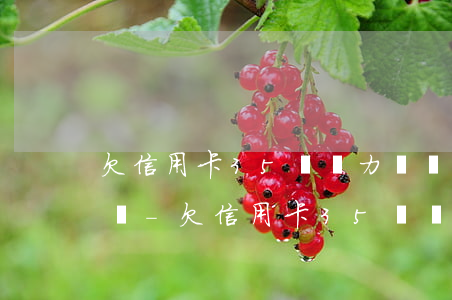 欠信用卡35萬無力償還會(huì)坐牢嗎-欠信用卡35萬無力償還會(huì)坐牢嗎知乎