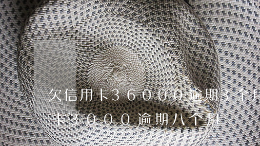 欠信用卡36000逾期3个月了（工商信用卡3000逾期八个月）