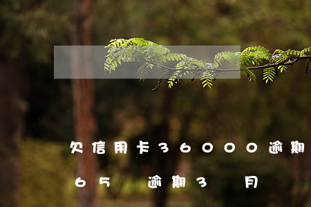 欠信用卡36000逾期3個月了（欠信用卡65萬逾期3個月）