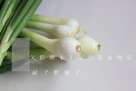 欠信用卡39万怎么办(欠信用卡30万,还不起了,想死了)