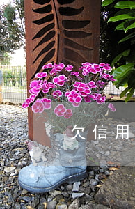 欠信用卡3万怎么自救(欠信用卡3万多)