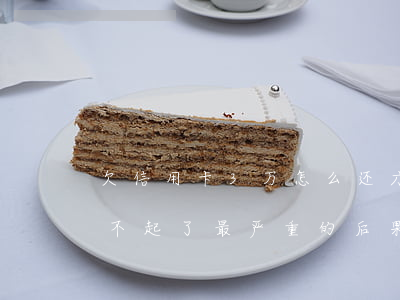 欠信用卡3万怎么还才划算(欠信用卡三万还不起了最严重的后果会怎么样)