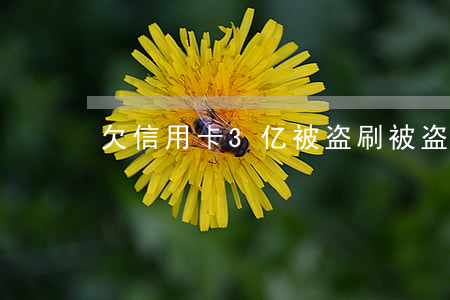 欠信用卡3亿被盗刷(被盗刷信用卡能追回吗)