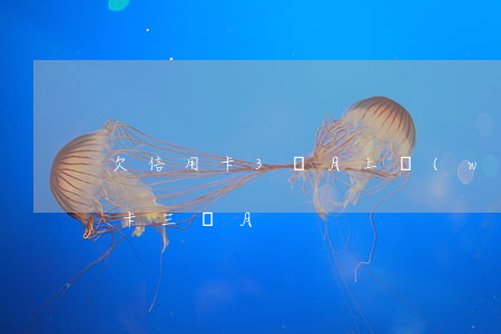 欠信用卡3個月上網(wǎng)會(欠信用卡三個月)