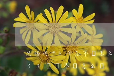 欠信用卡3千元不還怎么辦(欠了信用卡3000塊錢不還怎么辦)