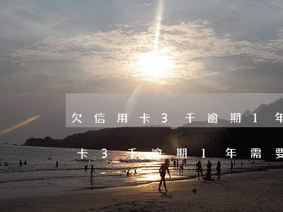 欠信用卡3千逾期1年需要還多少-欠信用卡3千逾期1年需要還多少錢
