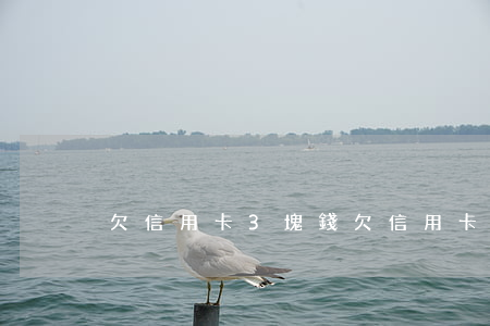 欠信用卡3塊錢(欠信用卡3塊錢會怎么樣)