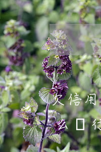 欠信用卡3年以上了-欠信用卡3年了為什么銀行不起訴我我有房子