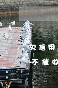 欠信用卡3萬13年沒人催了（欠信用卡3萬不催收）