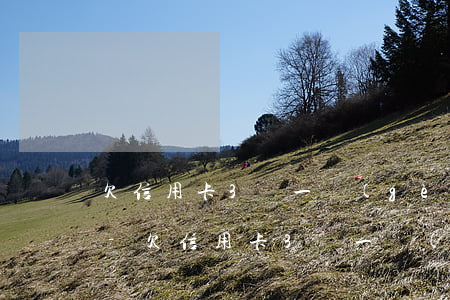 欠信用卡3萬一個(gè)月還500行嗎-欠信用卡3萬一個(gè)月還500行嗎怎么還