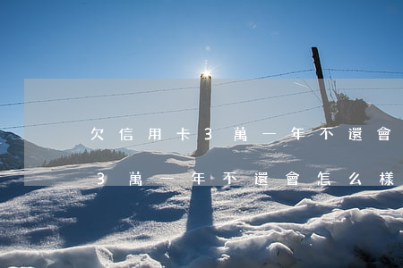 欠信用卡3萬一年不還會怎么樣-欠信用卡3萬一年不還會怎么樣呢