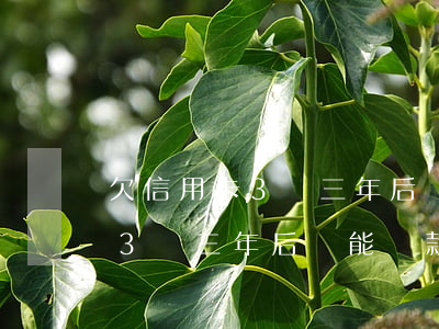 欠信用卡3萬三年后還能貸款嗎-欠信用卡3萬三年后還能貸款嗎知乎
