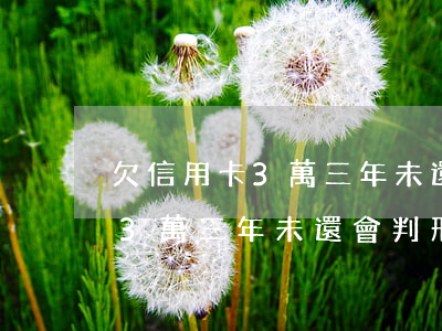 欠信用卡3萬三年未還會判刑嗎-欠信用卡3萬三年未還會判刑嗎知乎