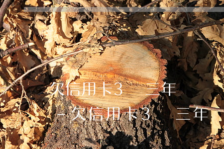 欠信用卡3萬三年沒還會(huì)怎么樣-欠信用卡3萬三年沒還會(huì)怎么樣呢