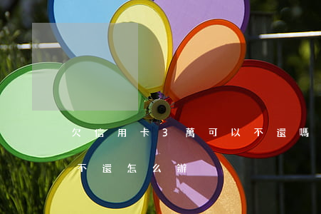 欠信用卡3萬可以不還嗎(欠信用卡3千塊錢不還怎么辦)