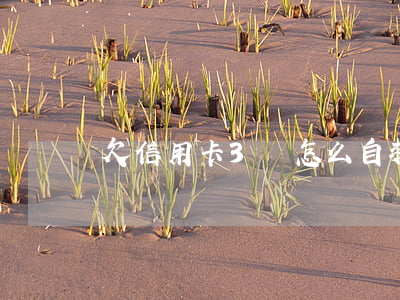 欠信用卡3萬怎么自救（我欠信用卡3萬怎么辦）