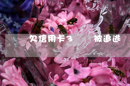 欠信用卡3萬會被追逃嗎