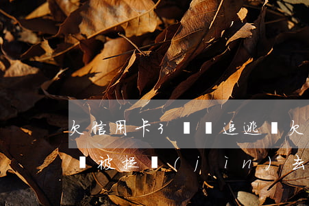 欠信用卡3萬會追逃嗎(欠信用卡30000會被捉進(jìn)去嗎)