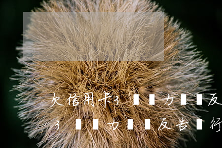 欠信用卡3萬無力償還反告銀行-欠信用卡3萬無力償還反告銀行怎么辦