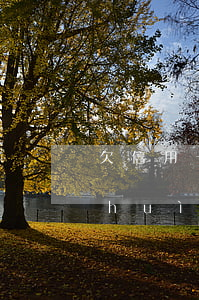 欠信用卡3萬要判幾年 欠信用卡3萬元會(huì)被起訴嗎
