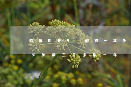欠信用卡3萬逾期一年多了會不會坐牢（信用卡欠款三千逾期一年會黑戶嗎）