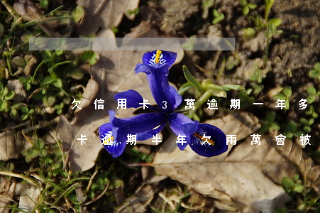欠信用卡3萬逾期一年多了會不會坐牢（信用卡逾期半年欠兩萬會被判刑嗎）