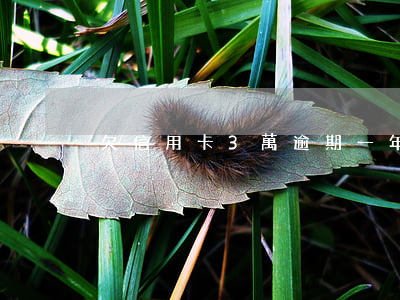 欠信用卡3萬逾期一年要起訴
