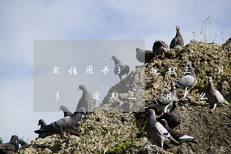 欠信用卡3萬逾期三個月怎么辦-欠信用卡3萬逾期三個月怎么辦理