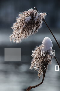 欠信用卡3萬逾期三年后果會怎樣-欠信用卡3萬逾期三年要還多少