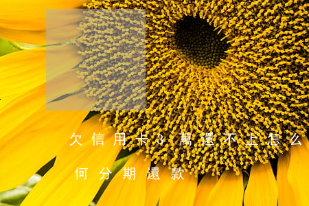 欠信用卡3萬還不上怎么辦（信用卡欠三萬如何分期還款）