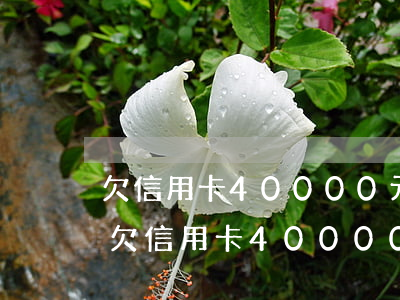 欠信用卡40000元八個(gè)月了-欠信用卡40000元八個(gè)月了還沒(méi)還