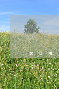 欠信用卡40000逾期三個月-欠信用卡40000逾期三個月會怎么樣