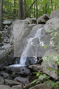 欠信用卡40万可以坐高铁(欠信用卡钱能坐飞机吗?)