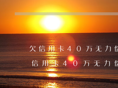 欠信用卡40万无力偿还会被通缉吗-欠债信用卡40万无力偿还会坐牢吗