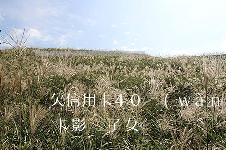 欠信用卡40萬(wàn)子女 欠銀行信用卡影響子女嗎