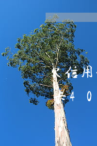 欠信用卡40萬(wàn)怎么自救（欠信用卡40萬(wàn)利息）