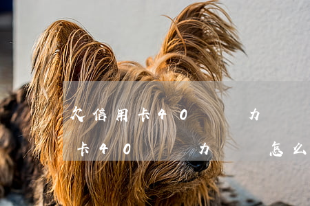 欠信用卡40萬無力償還怎么辦呢-欠信用卡40萬無力償還怎么辦呢怎么解決