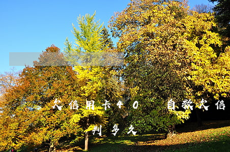 欠信用卡40萬自救 欠信用卡40萬會坐牢嗎?會判多久