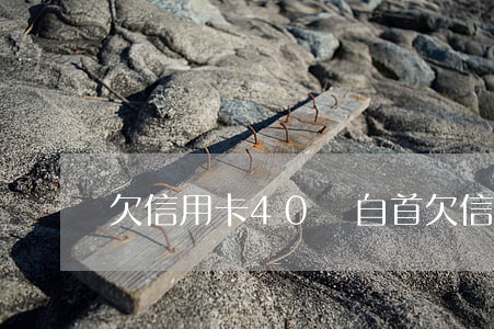 欠信用卡40萬自首(欠信用卡38萬自首)