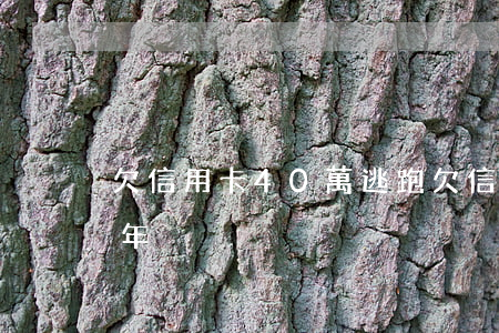 欠信用卡40萬逃跑(欠信用卡40萬逃跑多年)