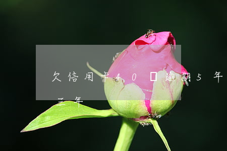 欠信用卡40萬逾期5年(欠信用卡5萬逾期三年)