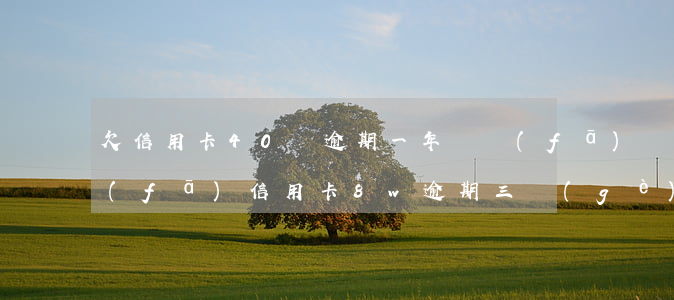 欠信用卡40萬逾期一年廣發(fā)(廣發(fā)信用卡8w逾期三個(gè)月)