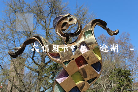 欠信用卡45萬逾期嗎-欠各種信用卡四十萬